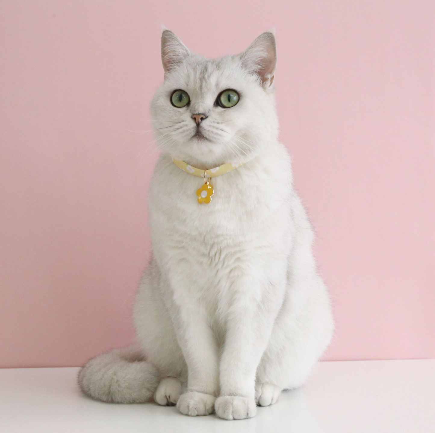 Flower Series Pendant Style Adjustable Pet Collar - {{product.type}} - PawPawUp