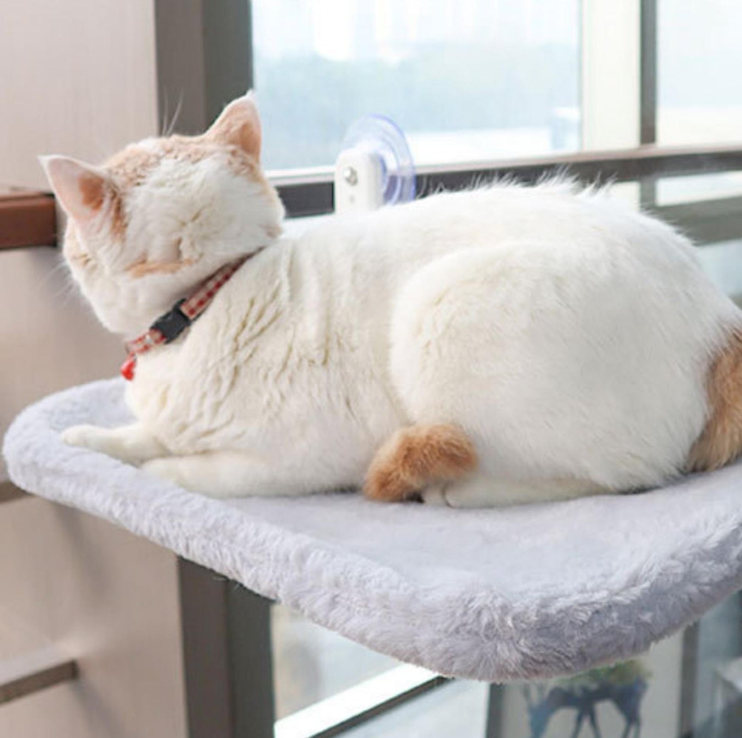 Foldable Cat Window Hammock with Strong Suction Cups - {{product.type}} - PawPawUp