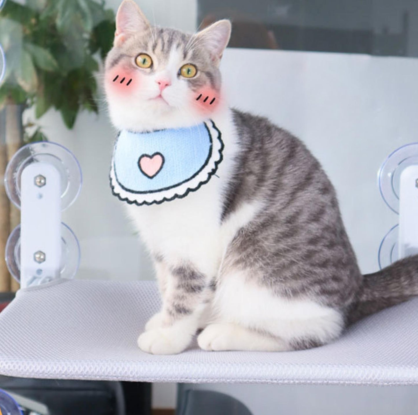 Foldable Cat Window Hammock with Strong Suction Cups - {{product.type}} - PawPawUp