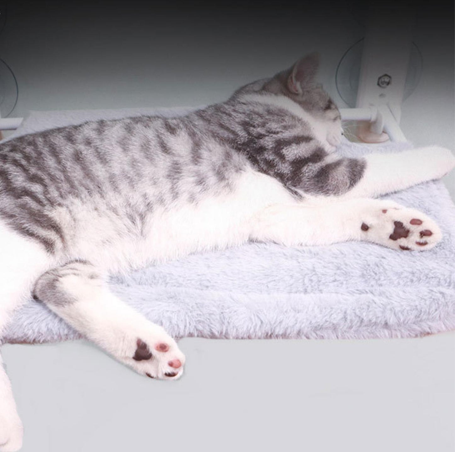 Foldable Cat Window Hammock with Strong Suction Cups - {{product.type}} - PawPawUp