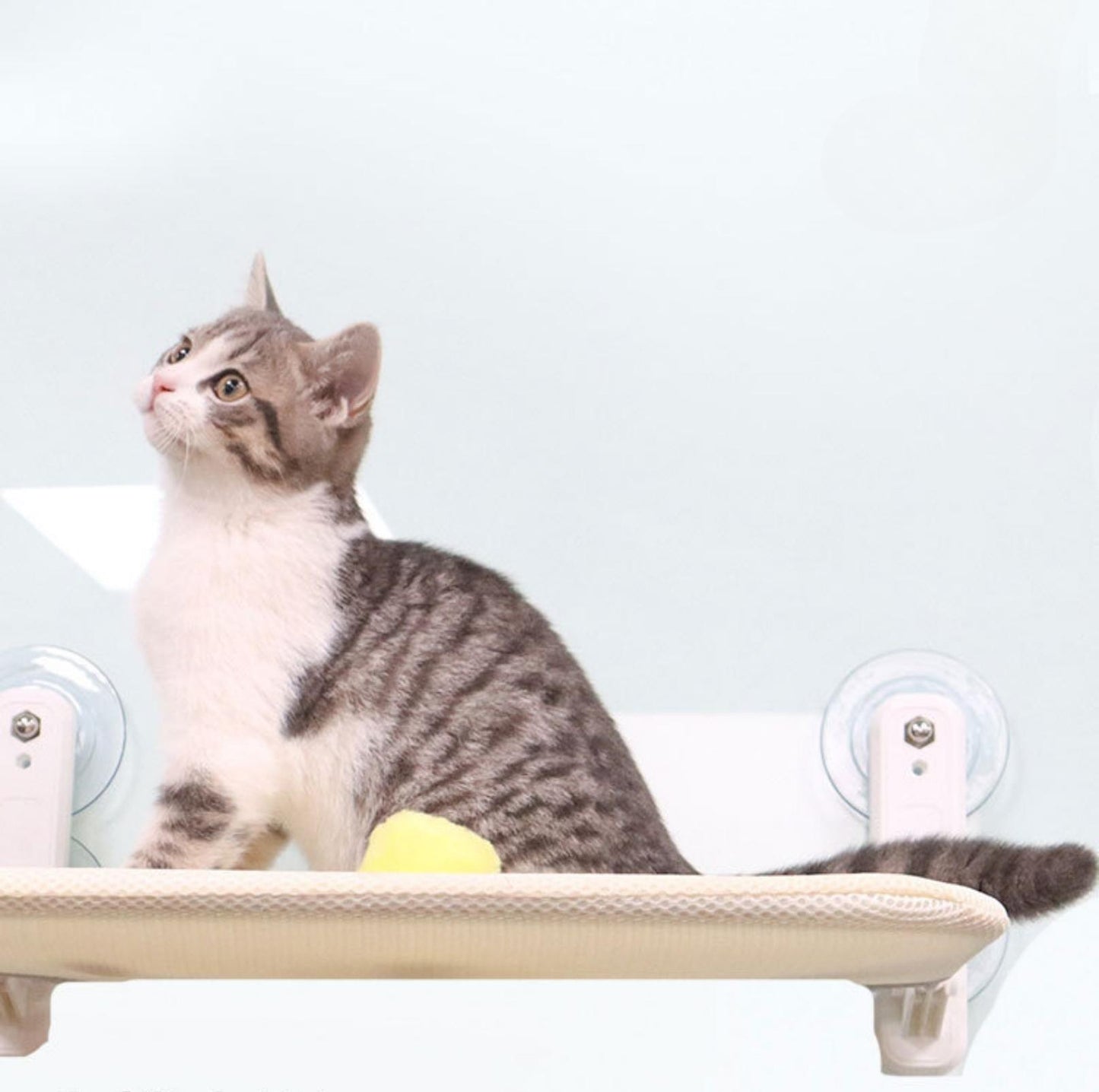 Foldable Cat Window Hammock with Strong Suction Cups - {{product.type}} - PawPawUp