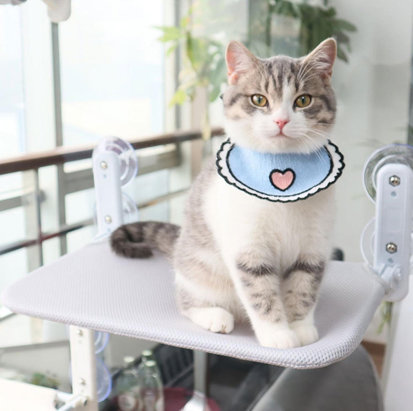 Foldable Cat Window Hammock with Strong Suction Cups - {{product.type}} - PawPawUp