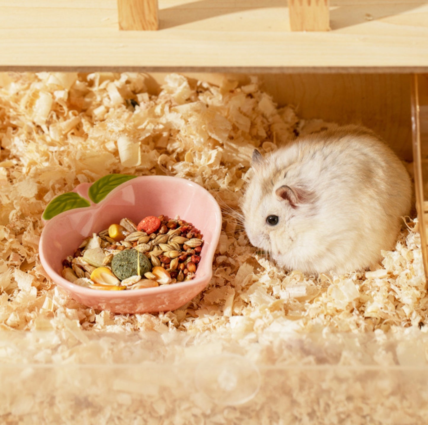 Fruit-shaped Small Animal Feeding Bowl - {{product.type}} - PawPawUp