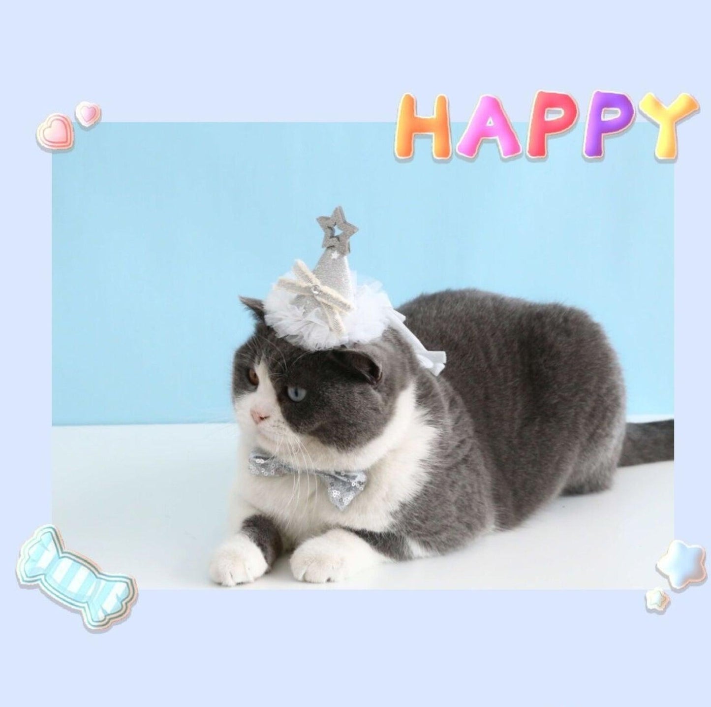 Glitter Birthday Accessory Set for Pets - Hat & Collar - {{product.type}} - PawPawUp