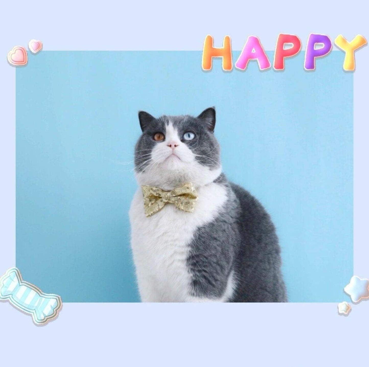 Glitter Birthday Accessory Set for Pets - Hat & Collar - {{product.type}} - PawPawUp