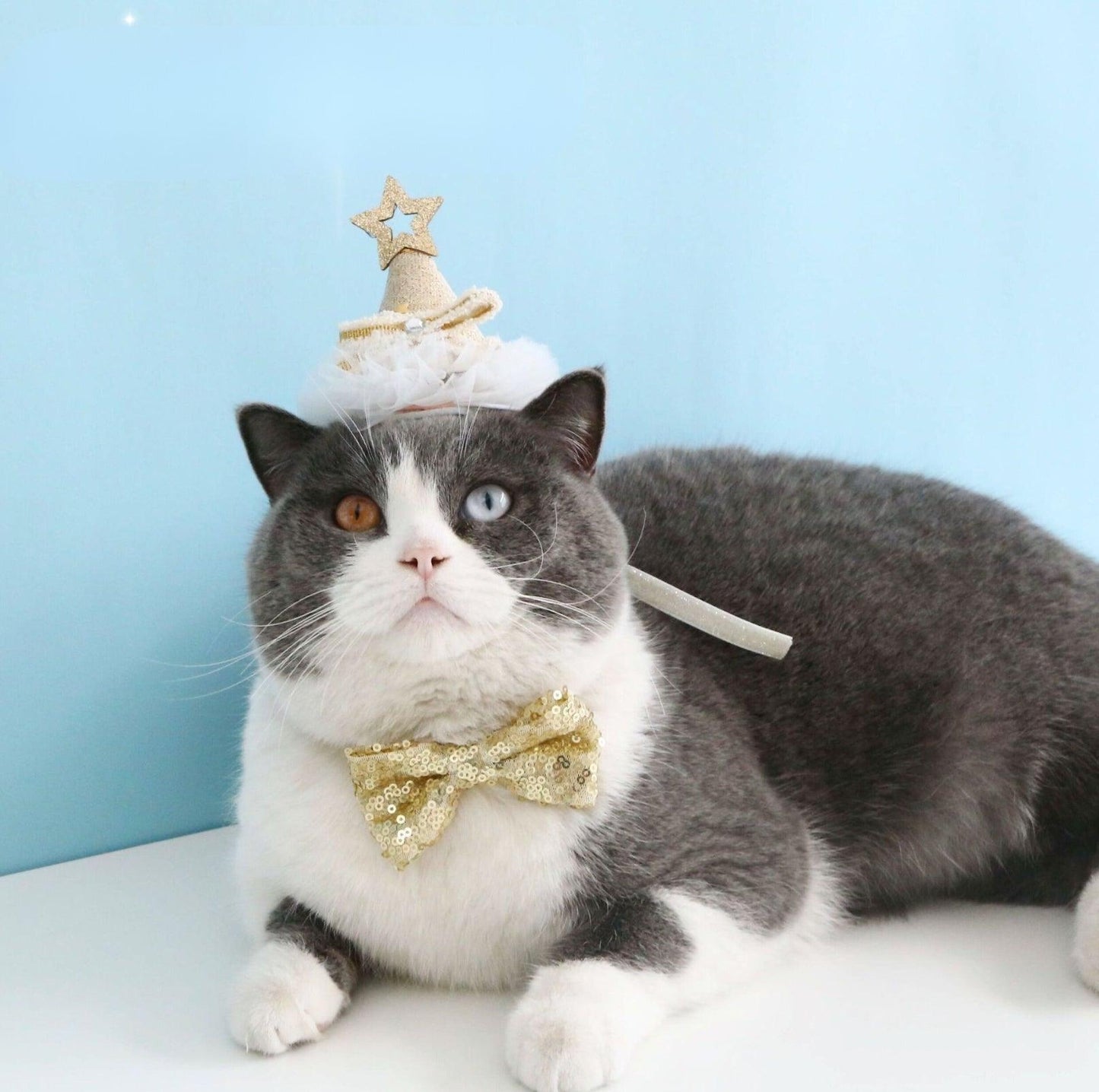 Glitter Birthday Accessory Set for Pets - Hat & Collar - {{product.type}} - PawPawUp