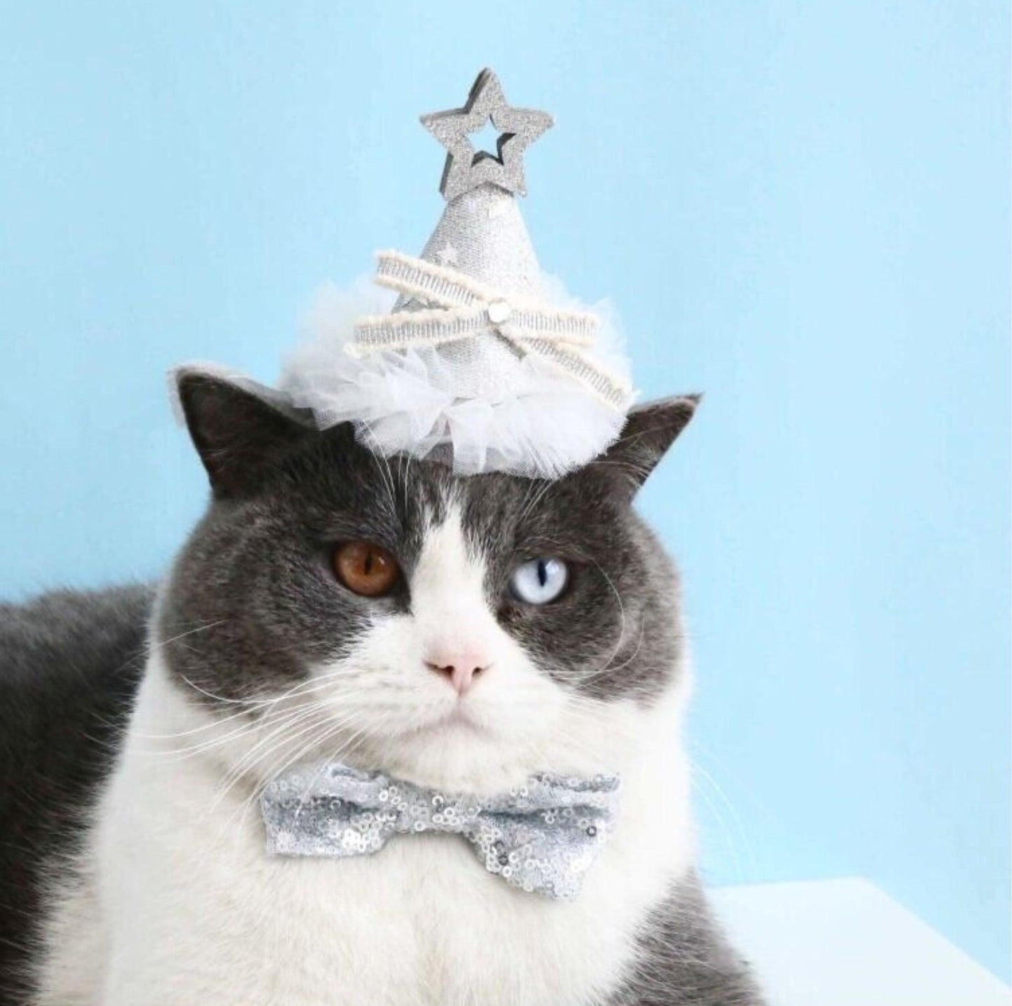 Glitter Birthday Accessory Set for Pets - Hat & Collar - {{product.type}} - PawPawUp