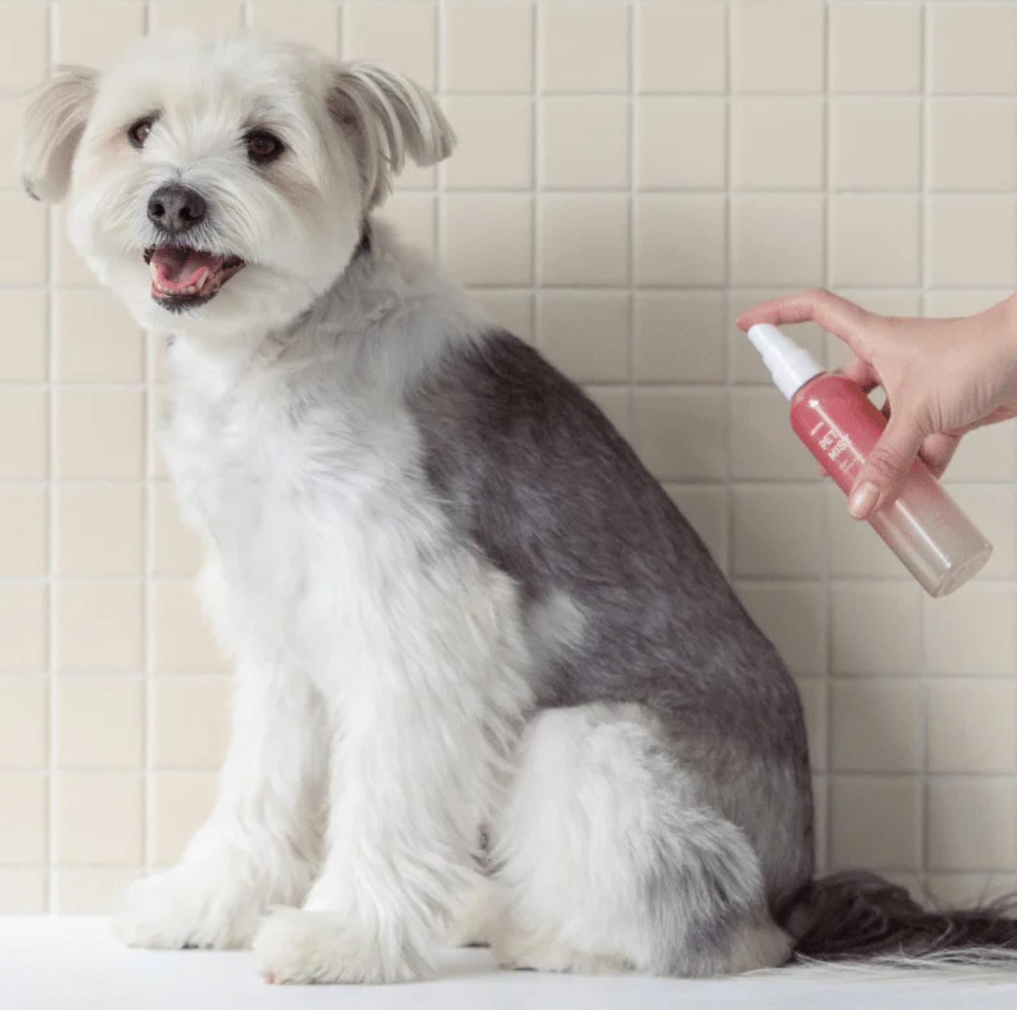 INOOM OUR EARTH Plant-Based Pet Mist - Vegan, Cruelty-Free - {{product.type}} - PawPawUp