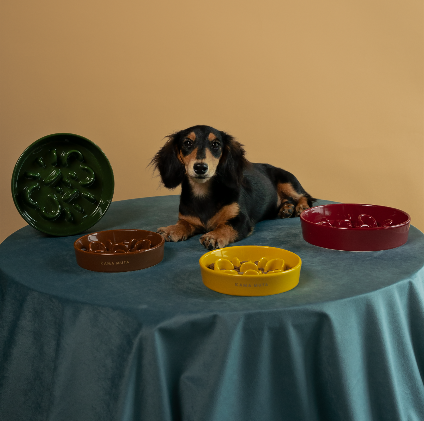 KAMA MUTA Ceramic Slow Feeder Bowl - {{product.type}} - PawPawUp