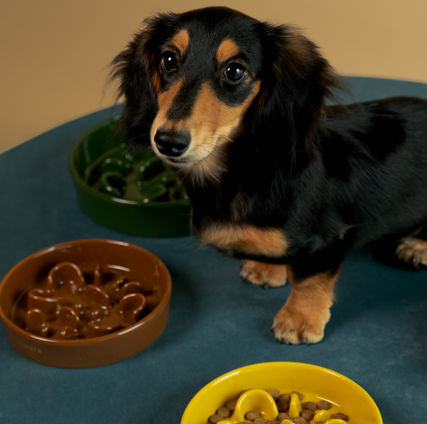 KAMA MUTA Ceramic Slow Feeder Bowl - {{product.type}} - PawPawUp
