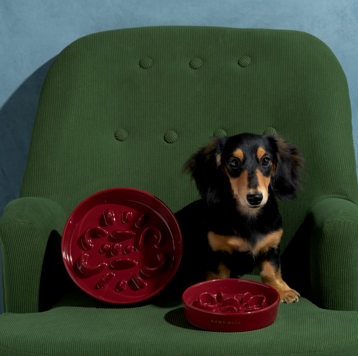 KAMA MUTA Ceramic Slow Feeder Bowl - {{product.type}} - PawPawUp