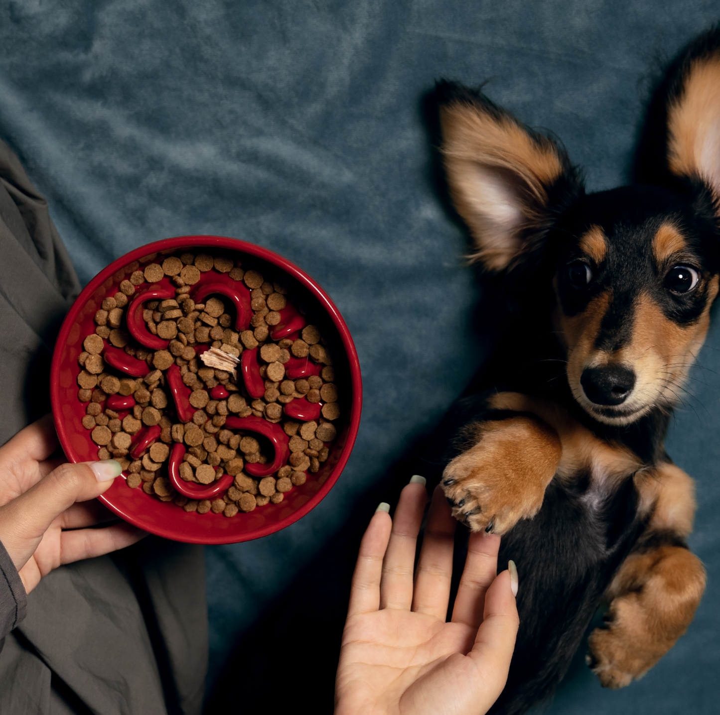 KAMA MUTA Ceramic Slow Feeder Bowl - {{product.type}} - PawPawUp