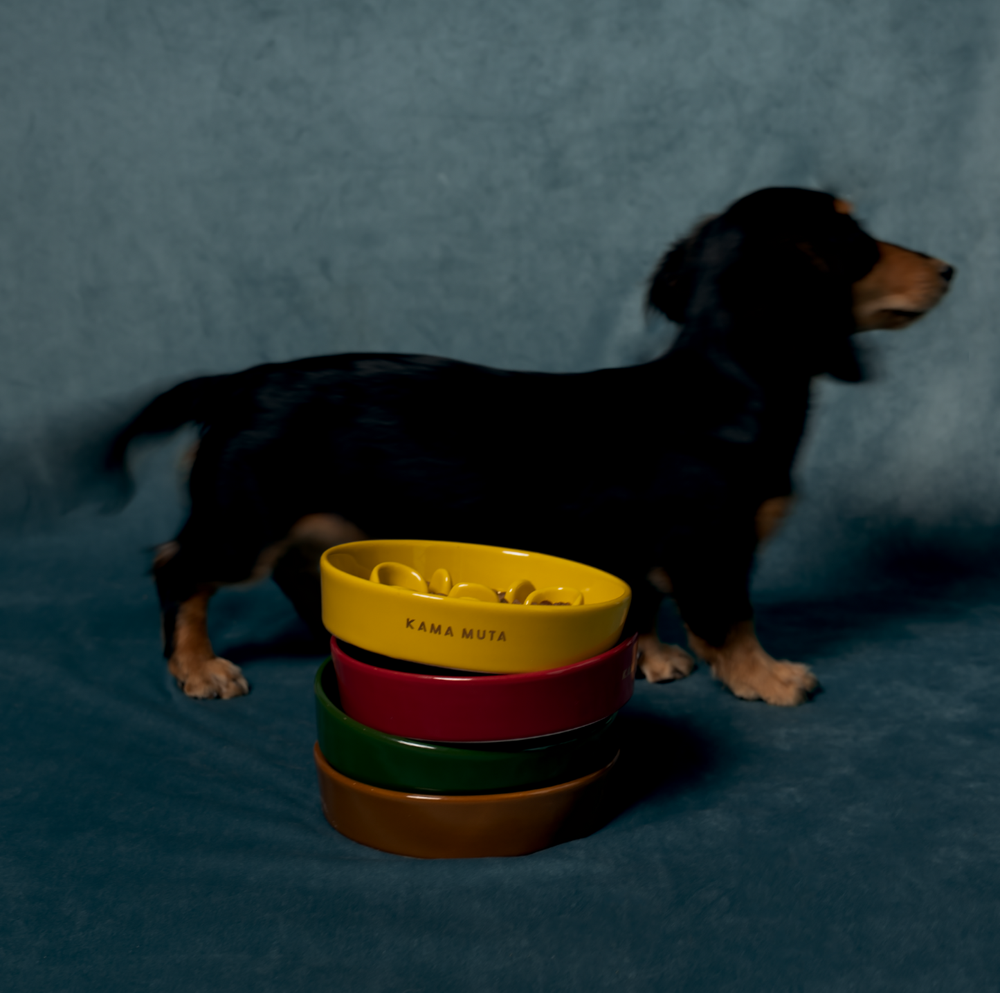 KAMA MUTA Ceramic Slow Feeder Bowl - {{product.type}} - PawPawUp