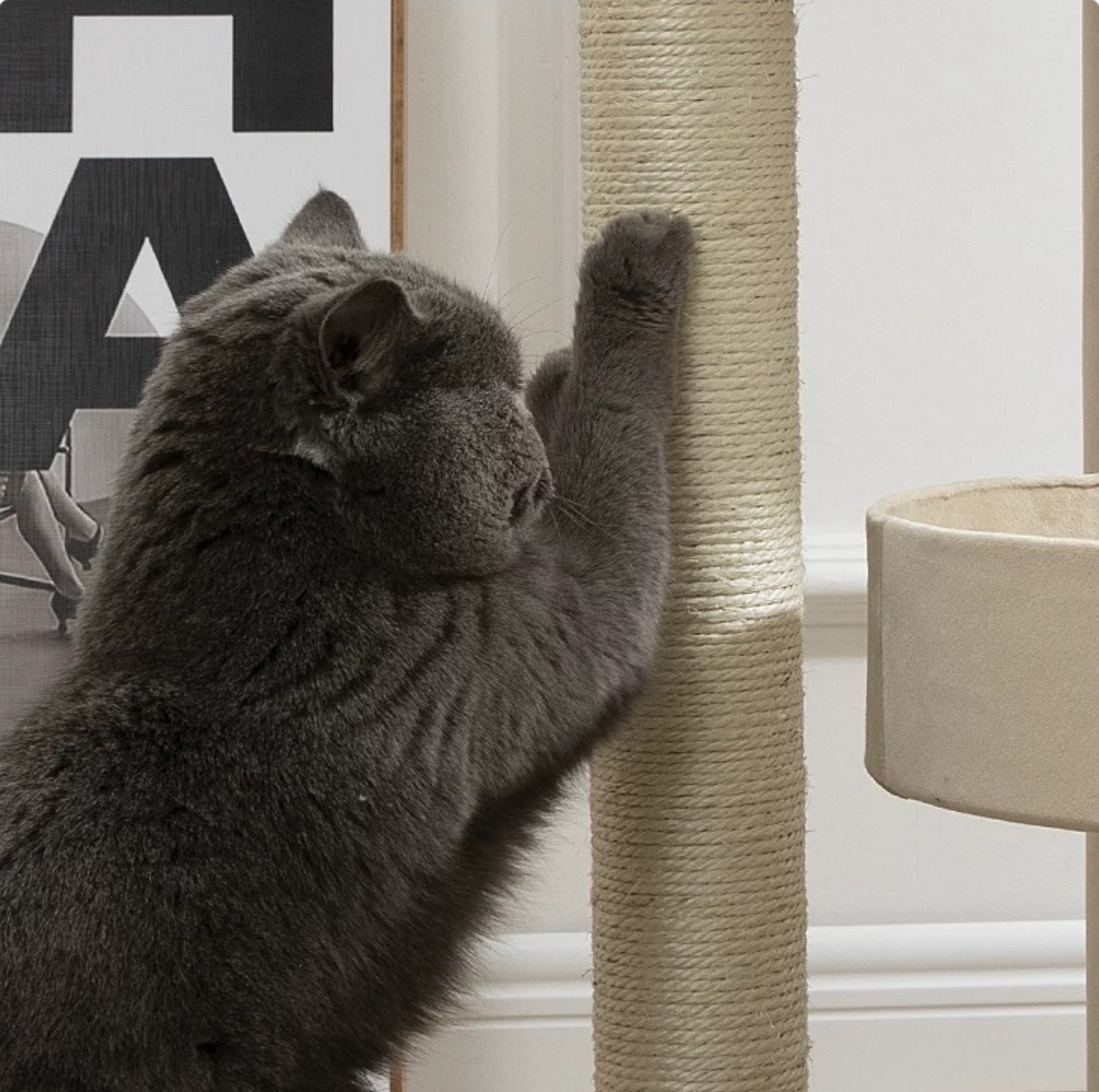 Luxury Japanese-Style Cat Tree with Large Bed – 90906 - {{product.type}} - PawPawUp