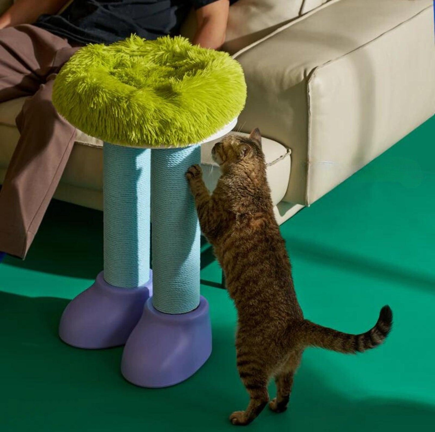 MAKESURE 3-in-1 Cat Scratcher, Bed, and Side Table - Stylish Feline Furniture - {{product.type}} - PawPawUp