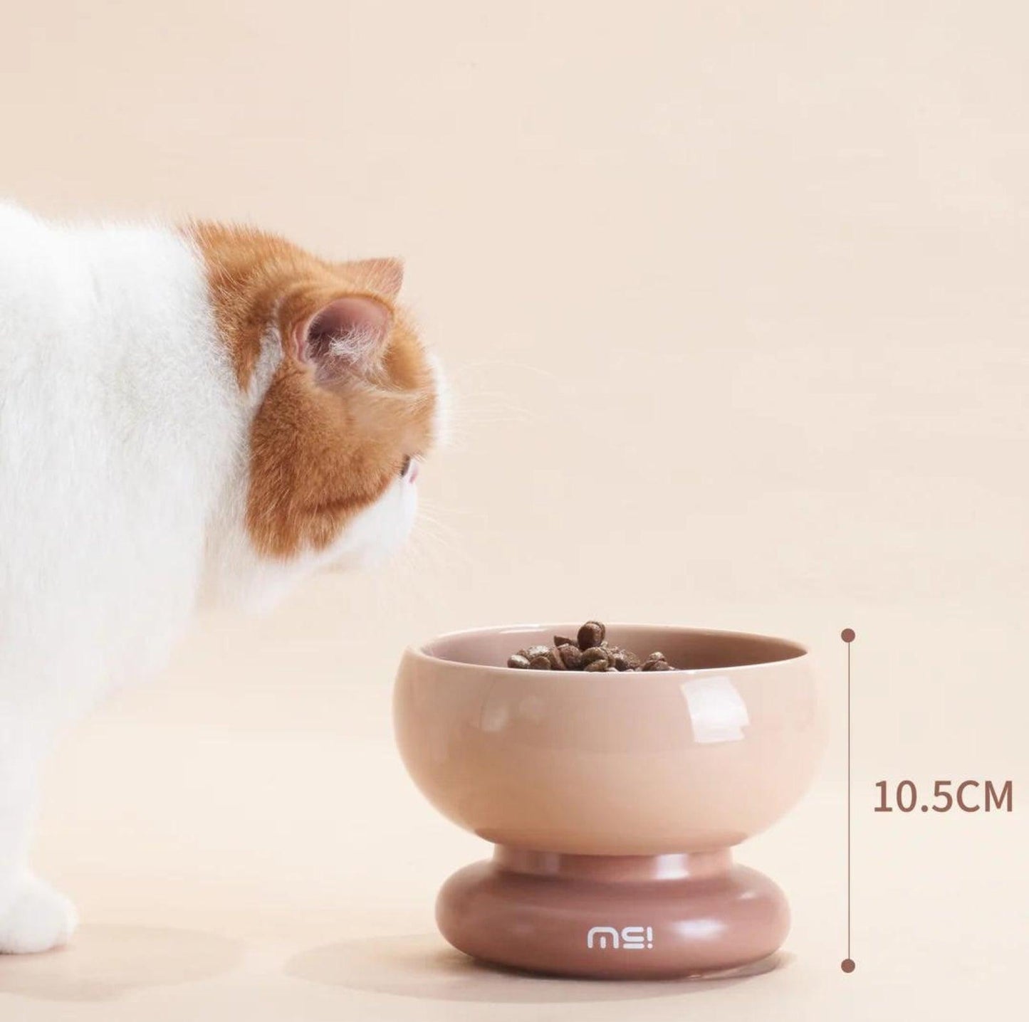 Makesure CALORIE Pet Bowl - Cat and Small Dog Bowl - {{product.type}} - PawPawUp