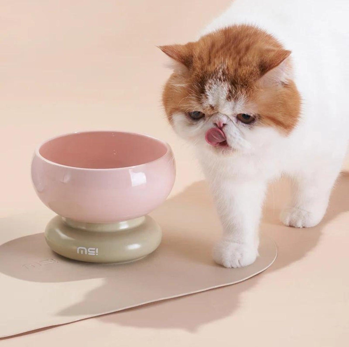 Makesure CALORIE Pet Bowl - Cat and Small Dog Bowl - {{product.type}} - PawPawUp