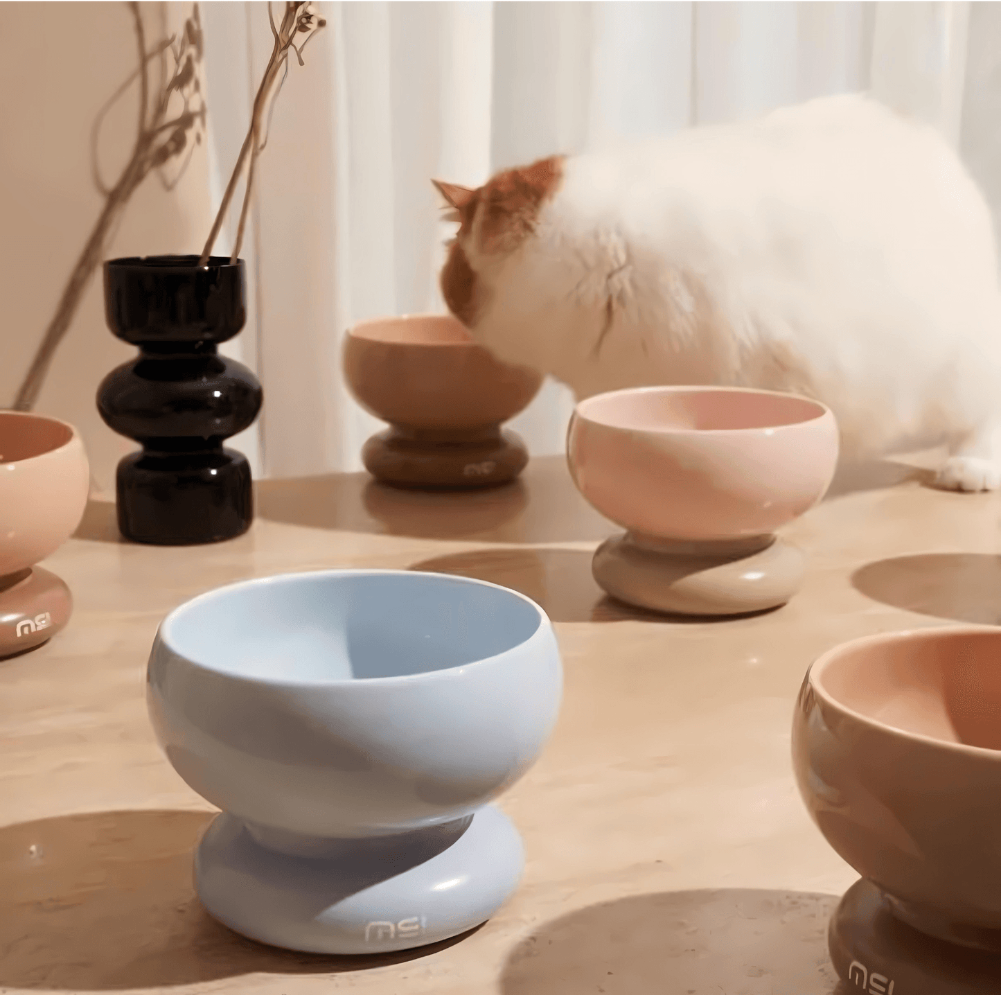 Makesure CALORIE Pet Bowl - Cat and Small Dog Bowl - {{product.type}} - PawPawUp