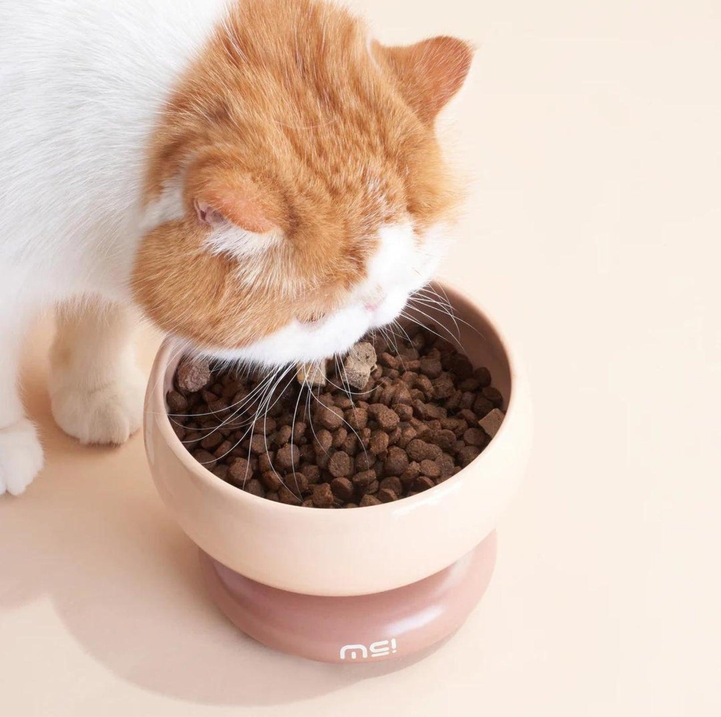 Makesure CALORIE Pet Bowl - Cat and Small Dog Bowl - {{product.type}} - PawPawUp