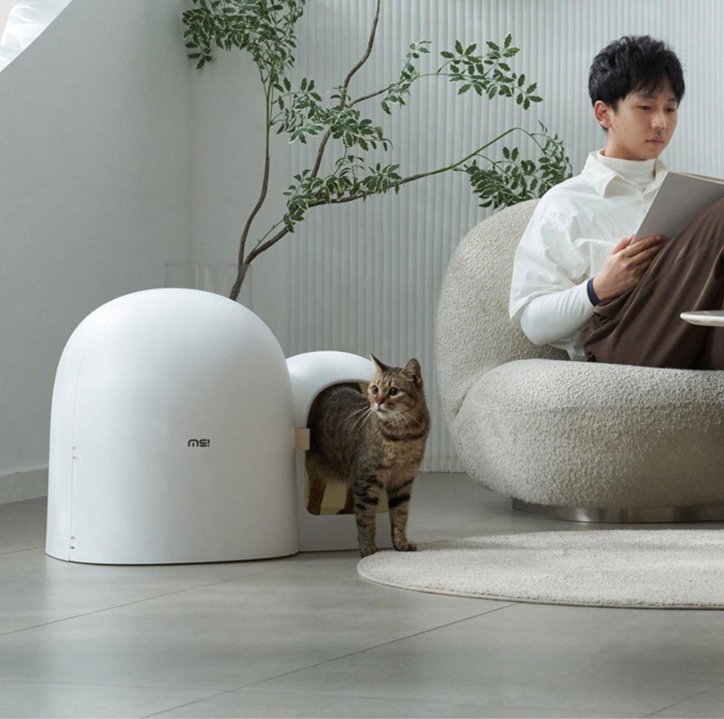 Makesure Cat Litter Box MAX - {{product.type}} - PawPawUp