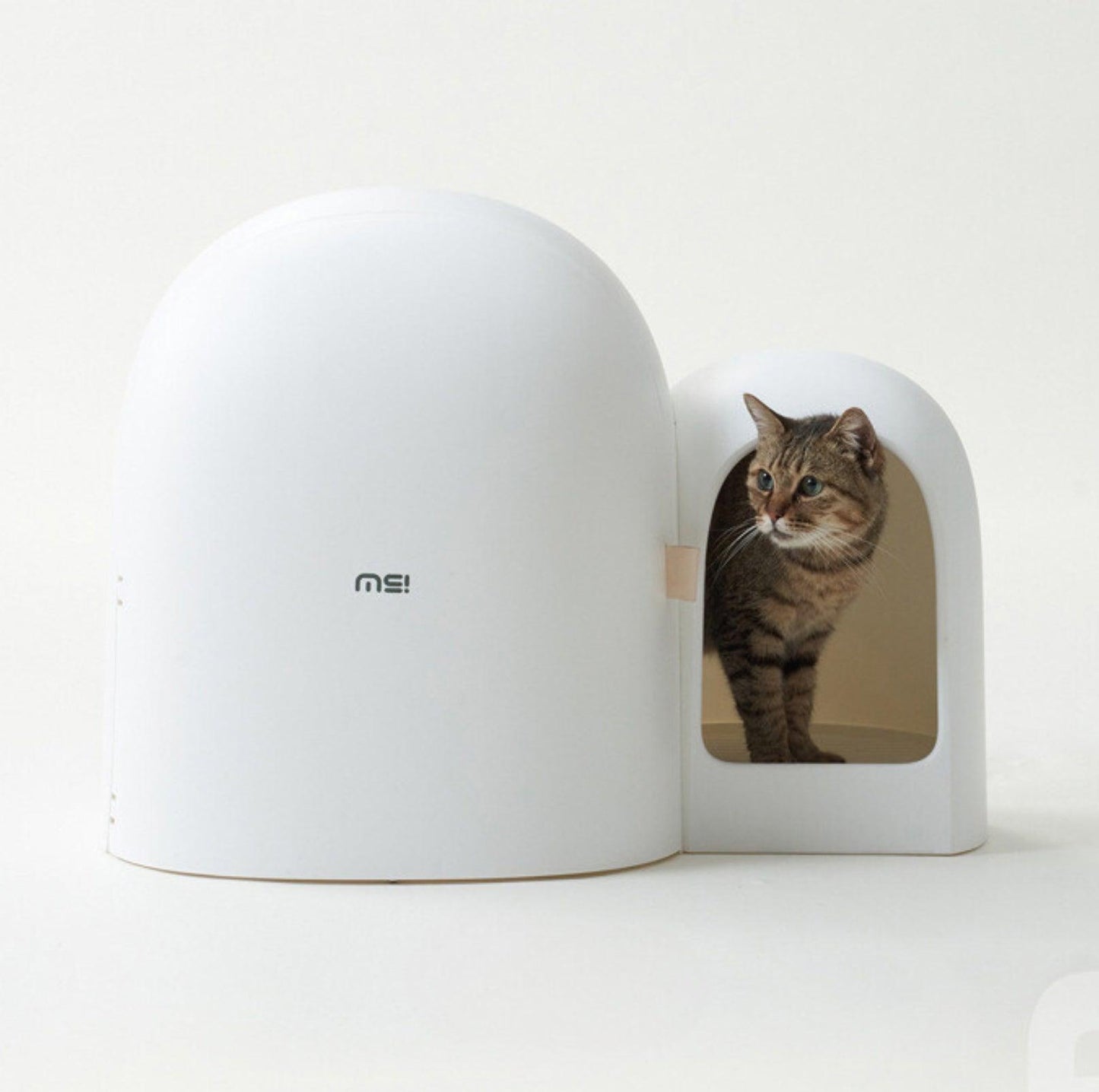 Makesure Cat Litter Box MAX - {{product.type}} - PawPawUp