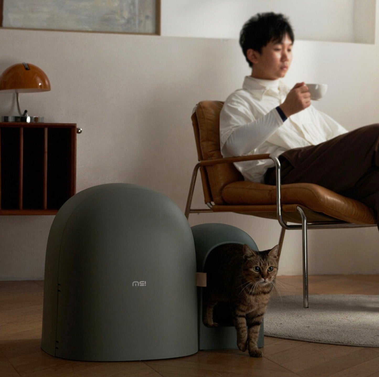 Makesure Cat Litter Box MAX - {{product.type}} - PawPawUp