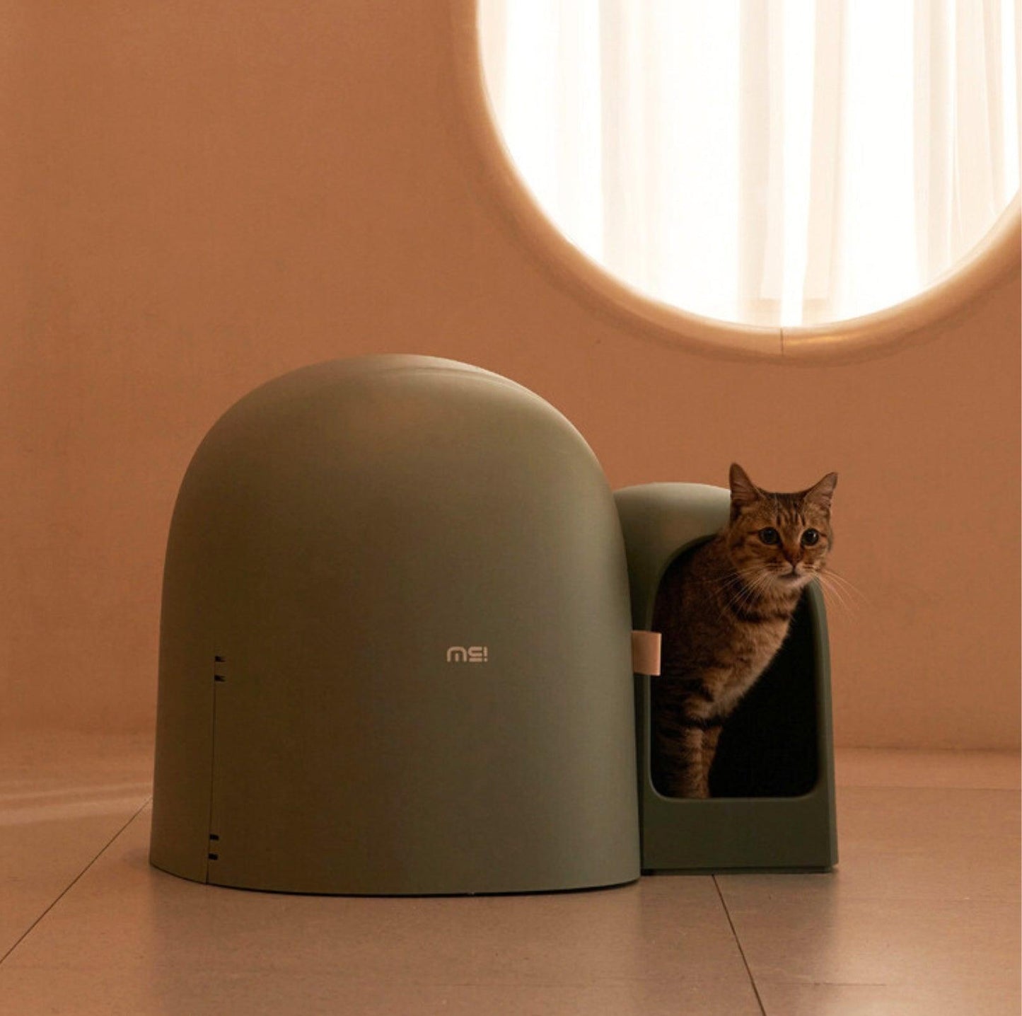 Makesure Cat Litter Box MAX - {{product.type}} - PawPawUp