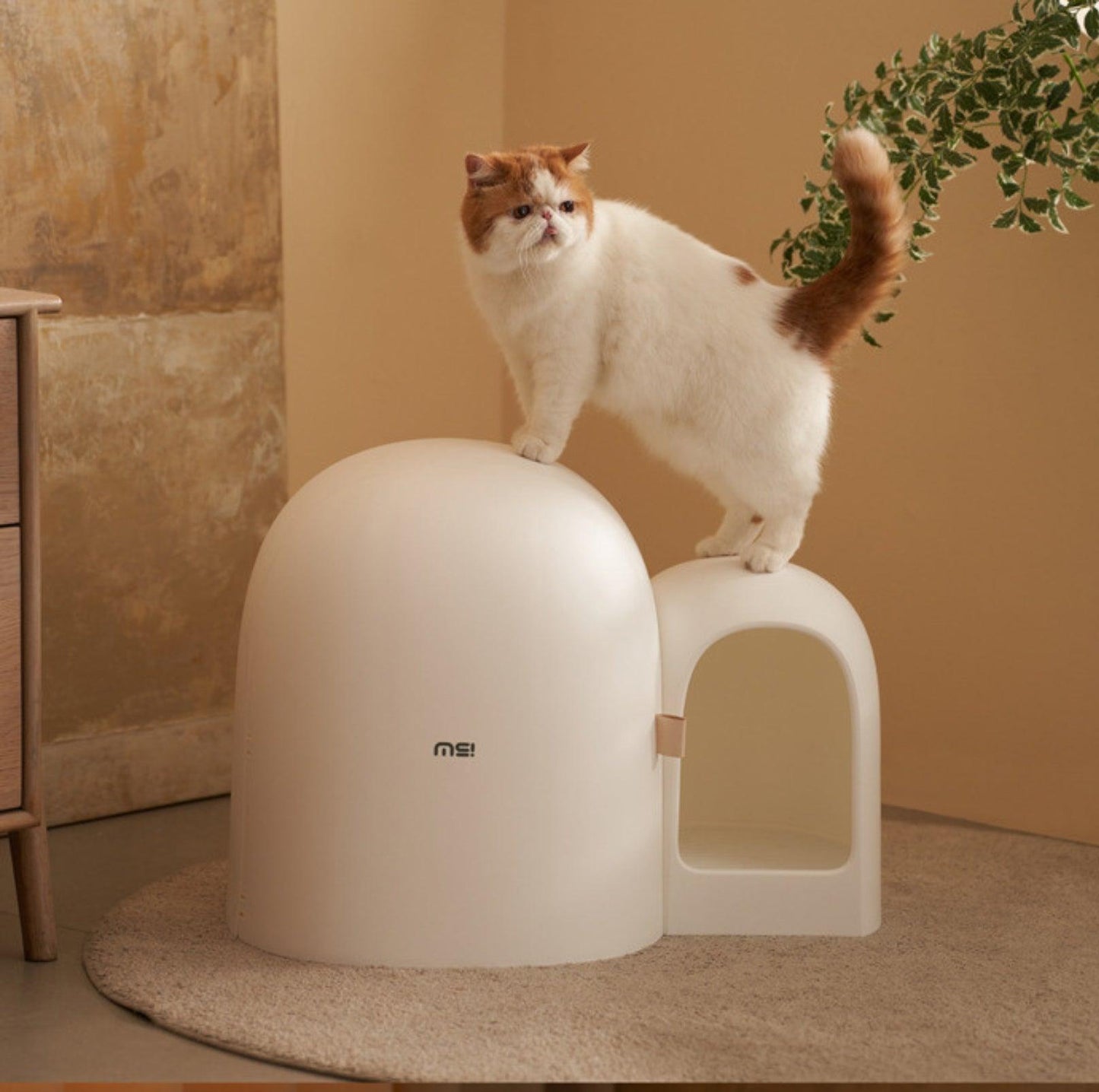 Makesure Cat Litter Box MAX - {{product.type}} - PawPawUp