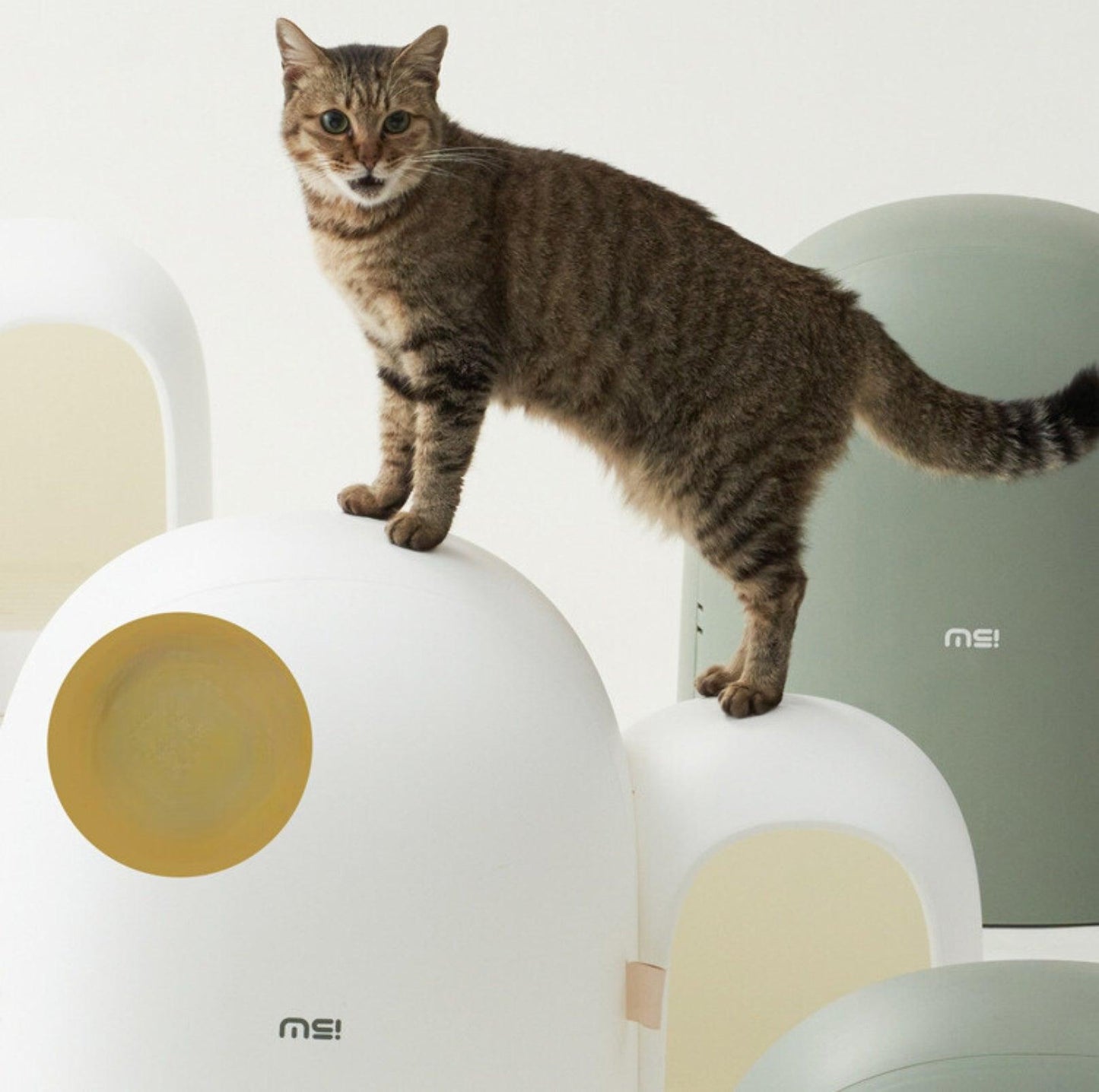 Makesure Cat Litter Box MAX - {{product.type}} - PawPawUp