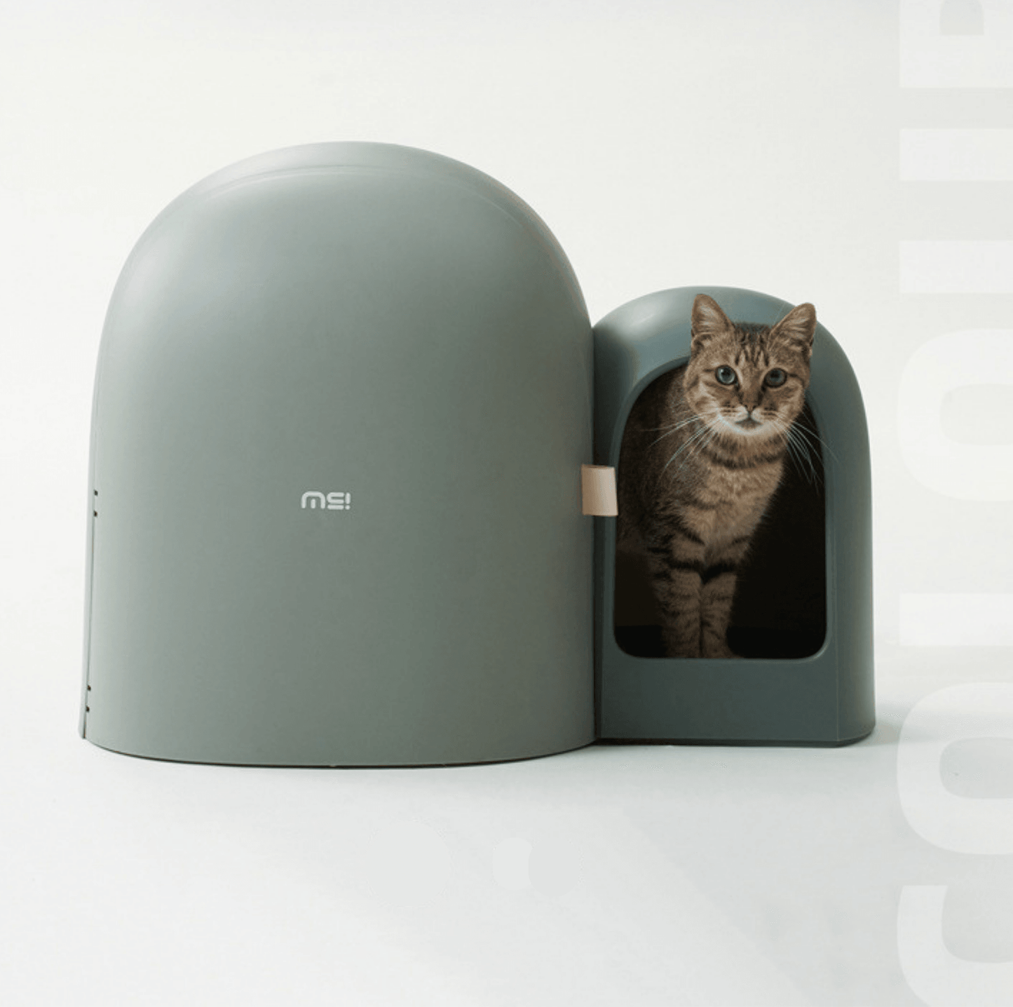 Makesure Cat Litter Box MAX - {{product.type}} - PawPawUp