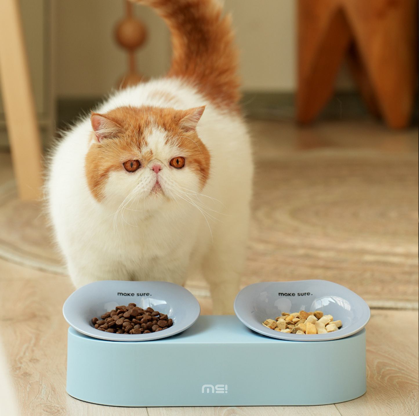 Makesure ZooZoo Pet Feeding Plate - {{product.type}} - PawPawUp