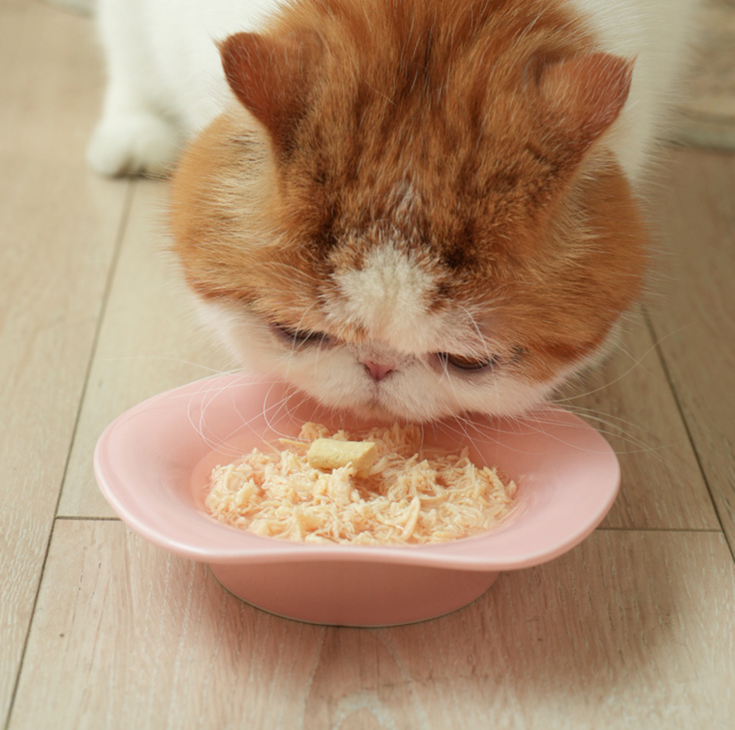 Makesure ZooZoo Pet Feeding Plate - {{product.type}} - PawPawUp