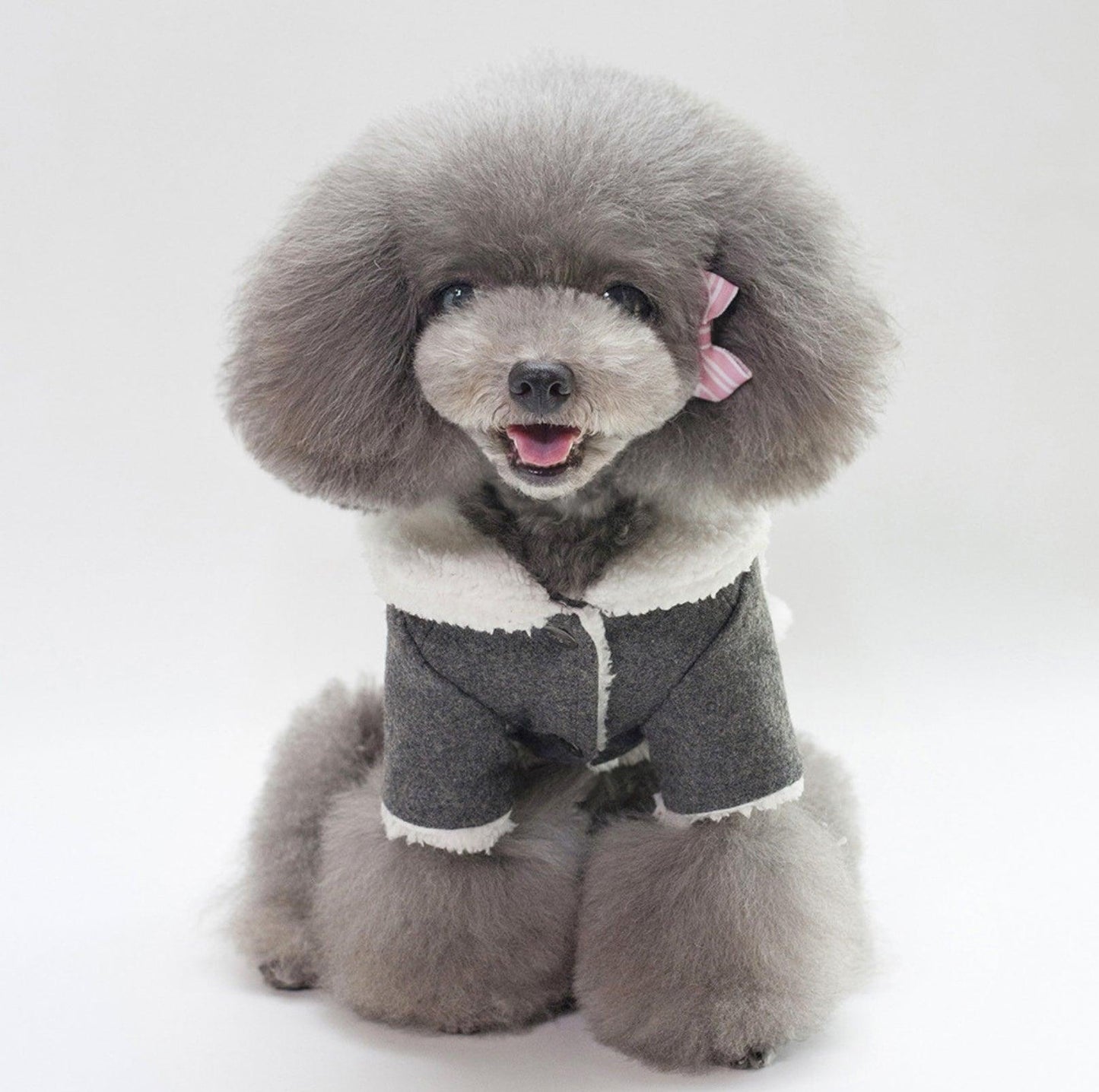 Nordic-Style Dog Cotton Jacket - {{product.type}} - PawPawUp