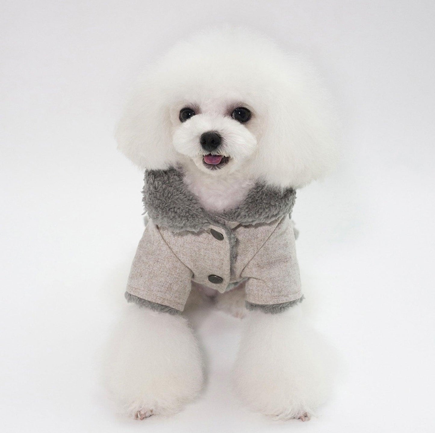 Nordic-Style Dog Cotton Jacket - {{product.type}} - PawPawUp