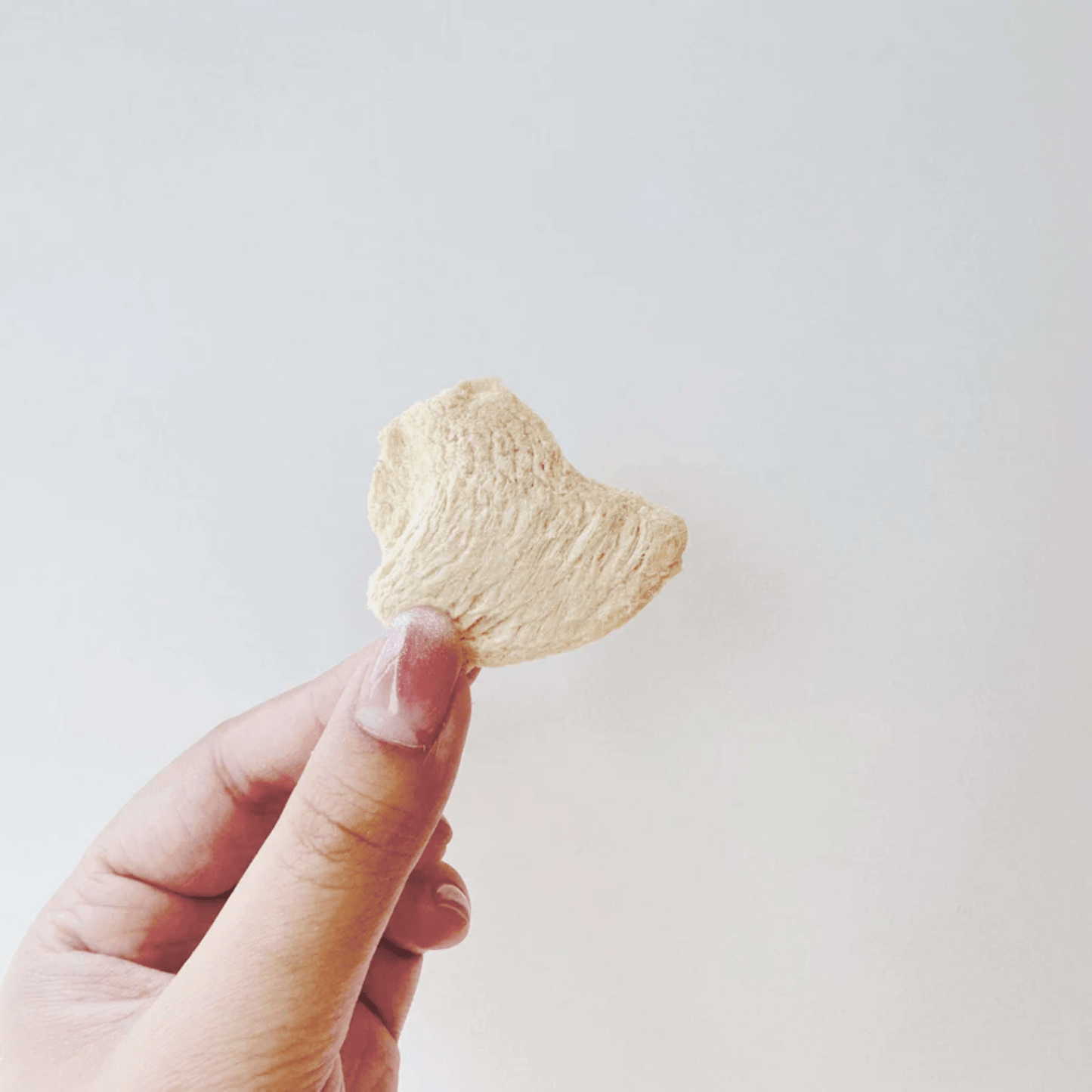 Pawcket Freeze-Dried Free Range Raw Chicken Breast Treat - {{product.type}} - PawPawUp