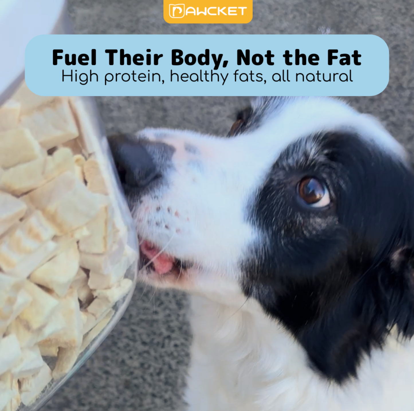 Pawcket Freeze-Dried Hoki Treat - {{product.type}} - PawPawUp
