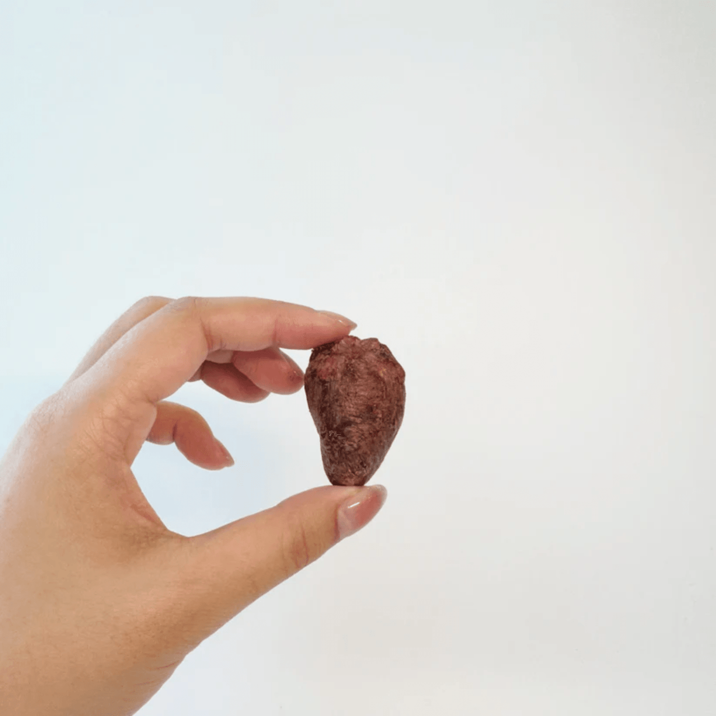 Pawcket Freeze-Dried Raw Duck Heart Treat - {{product.type}} - PawPawUp