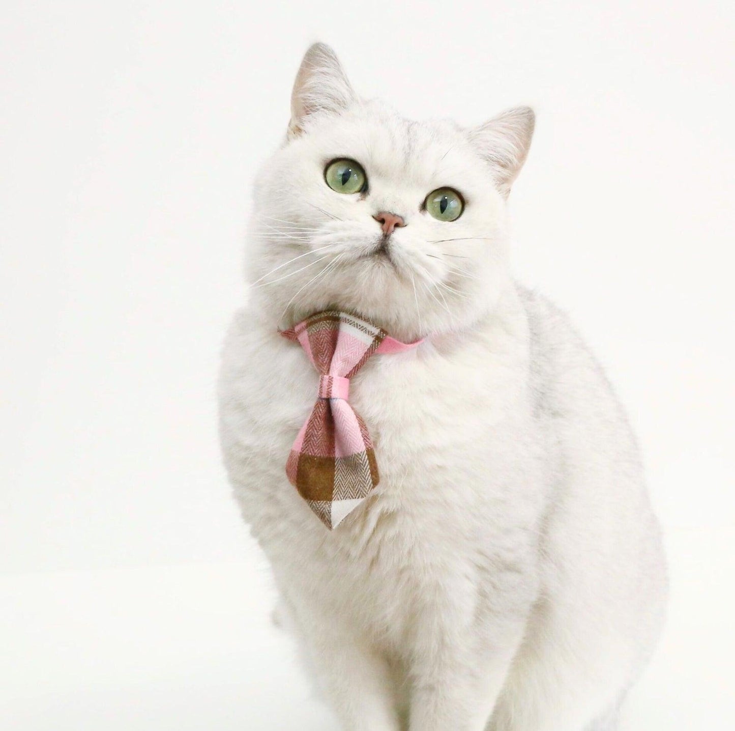 Pet Adjustable Bow/Tie Collar with Plaid Pattern - {{product.type}} - PawPawUp