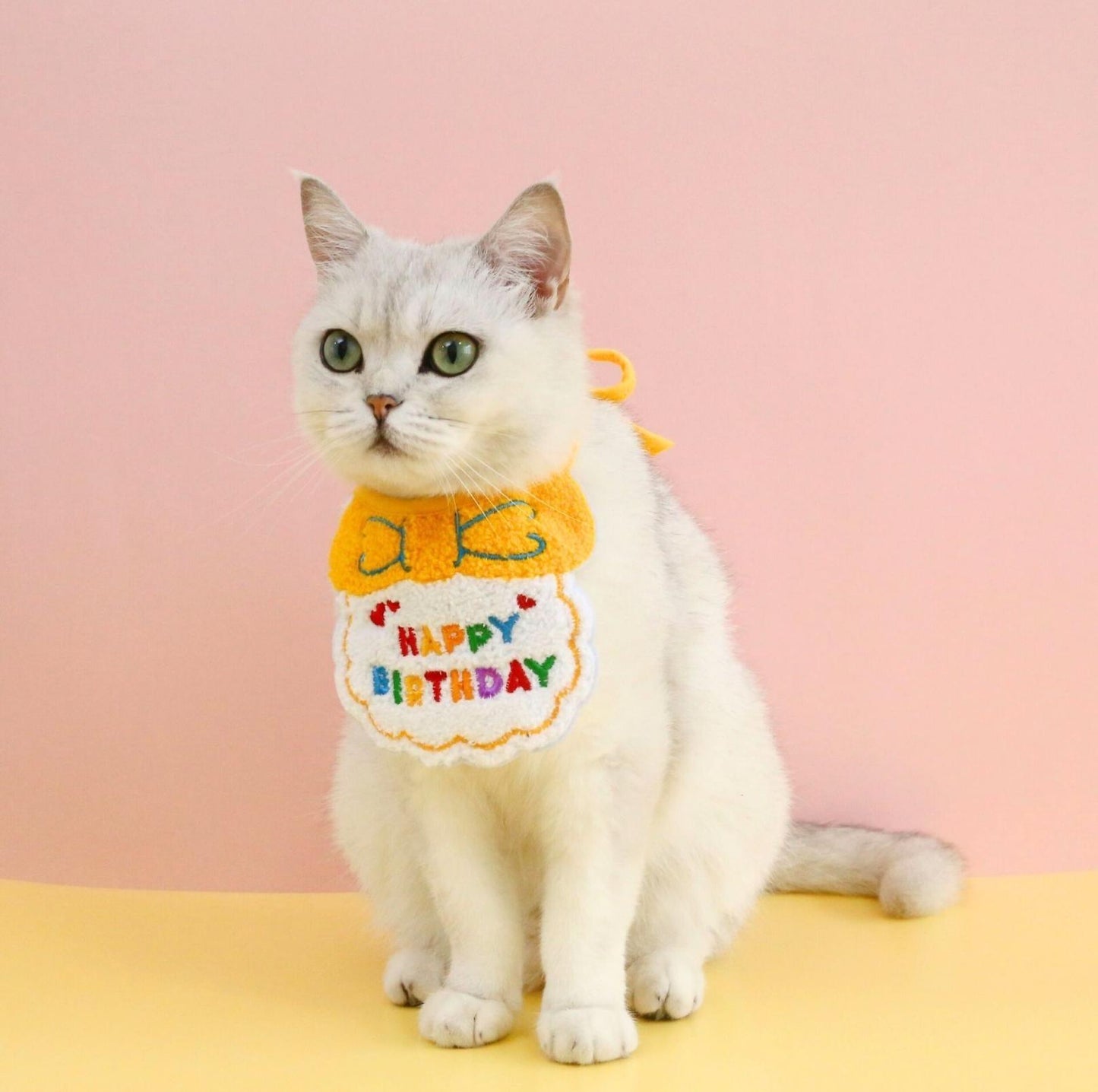 Pet Birthday Ensemble - Embroidered Accessory with Bowtie - {{product.type}} - PawPawUp