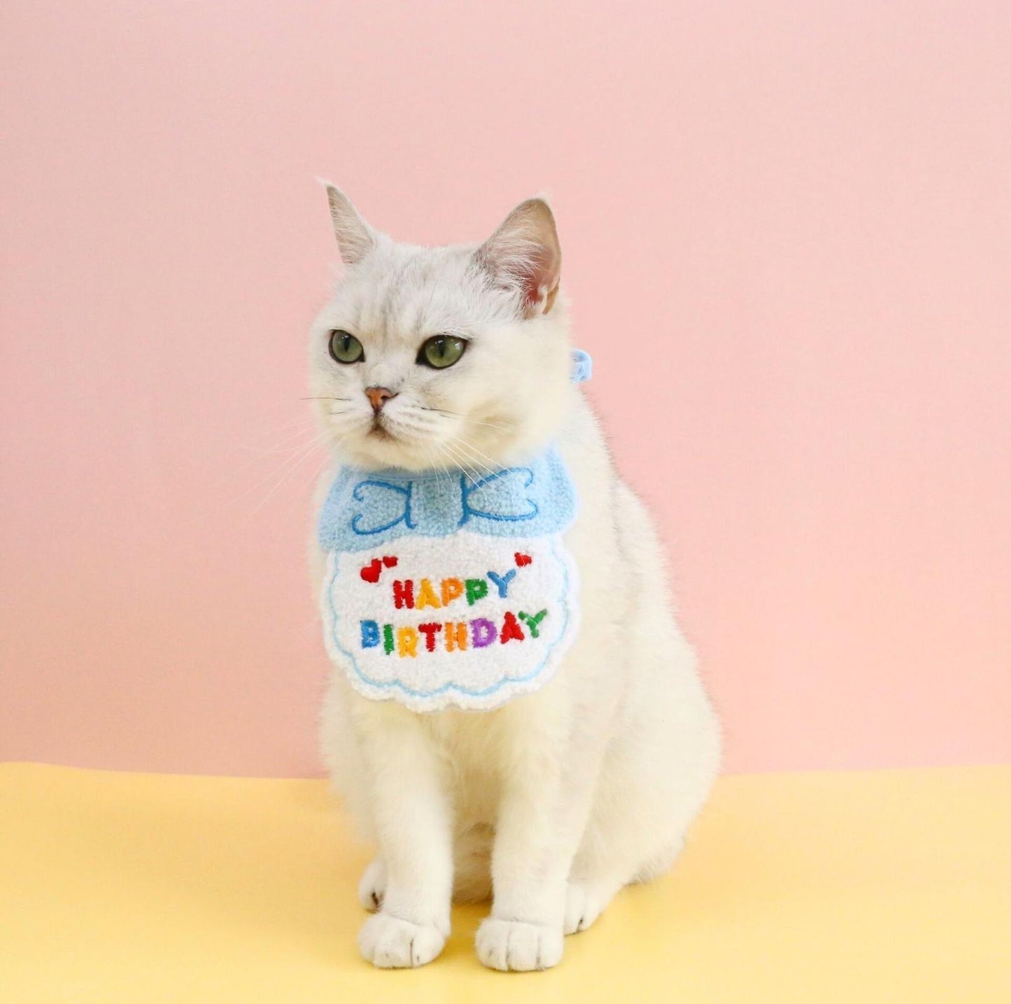 Pet Birthday Ensemble - Embroidered Accessory with Bowtie - {{product.type}} - PawPawUp