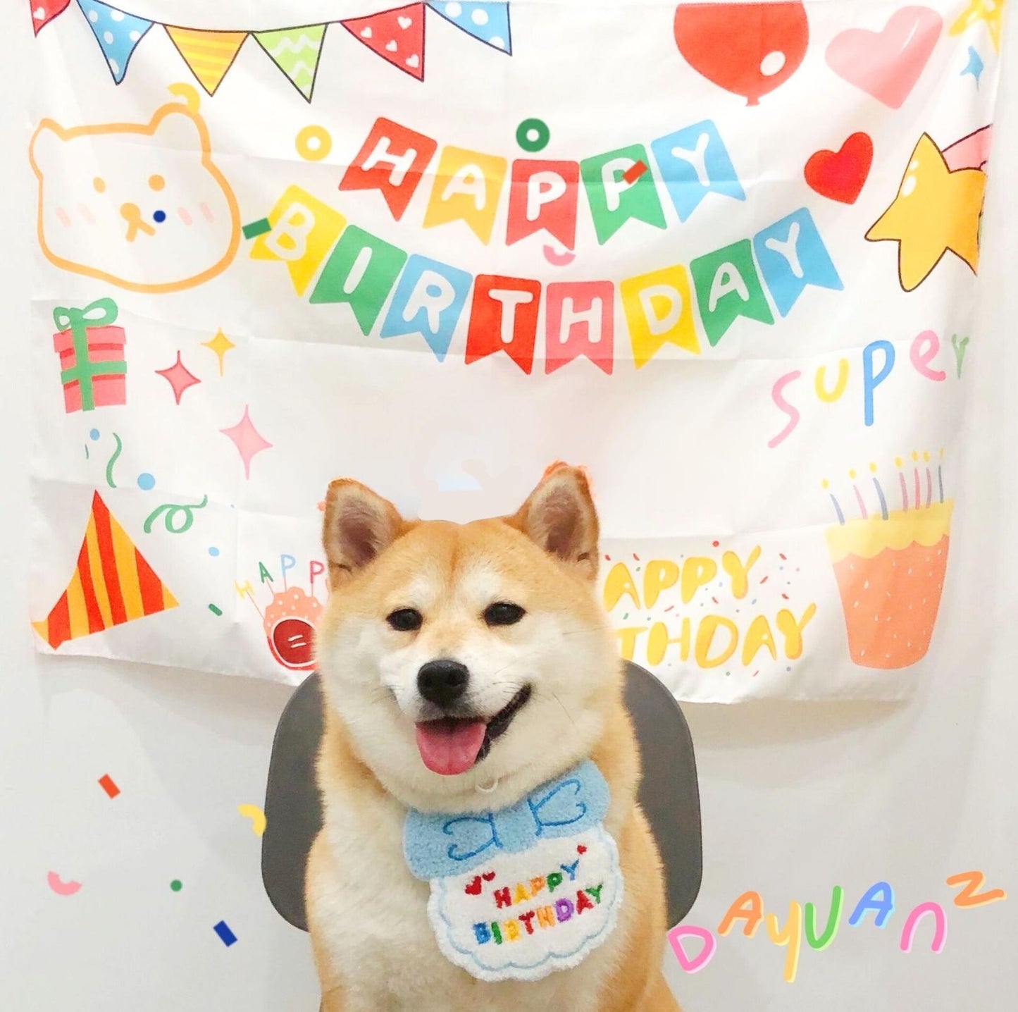 Pet Birthday Ensemble - Embroidered Accessory with Bowtie - {{product.type}} - PawPawUp