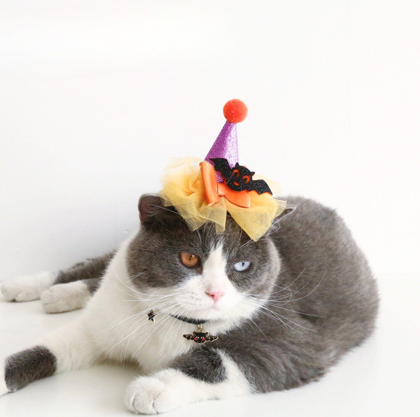 Pet Halloween Paw-ty Hat - Ultimate Party Gear for Pets - {{product.type}} - PawPawUp