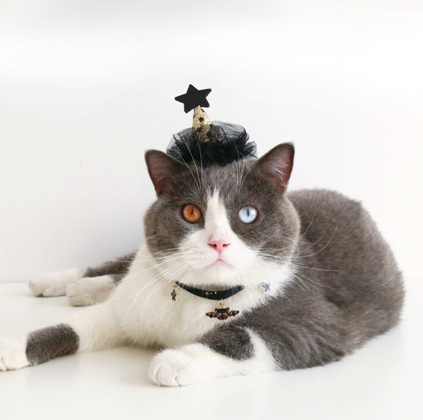 Pet Halloween Paw-ty Hat - Ultimate Party Gear for Pets - {{product.type}} - PawPawUp