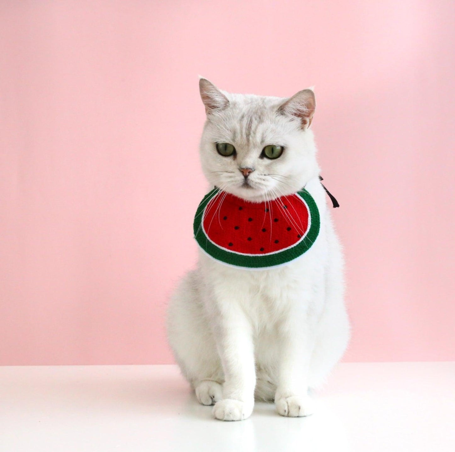 Plush Cartoon Design Pet Bib for Cats & Small Dogs - {{product.type}} - PawPawUp