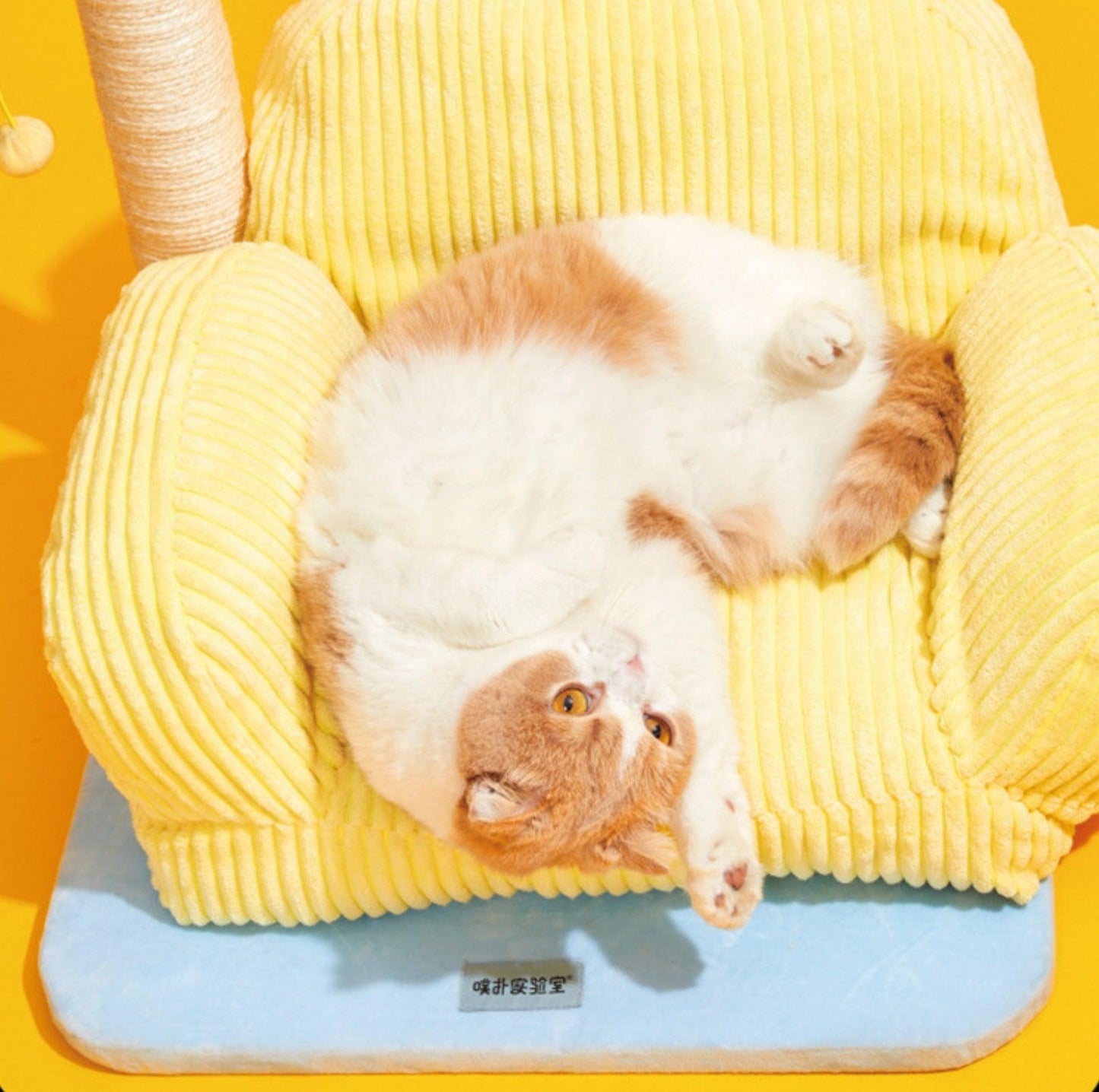 PurLab Multifunctional Cat Lounge - Cozy Sofa Style Cat Bed & Scratch Post - {{product.type}} - PawPawUp