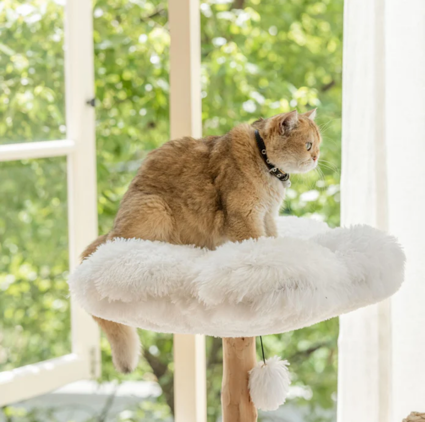 Purrista Natural Wood Basket 130cm Cat Tree (Three-Layer) - {{product.type}} - PawPawUp
