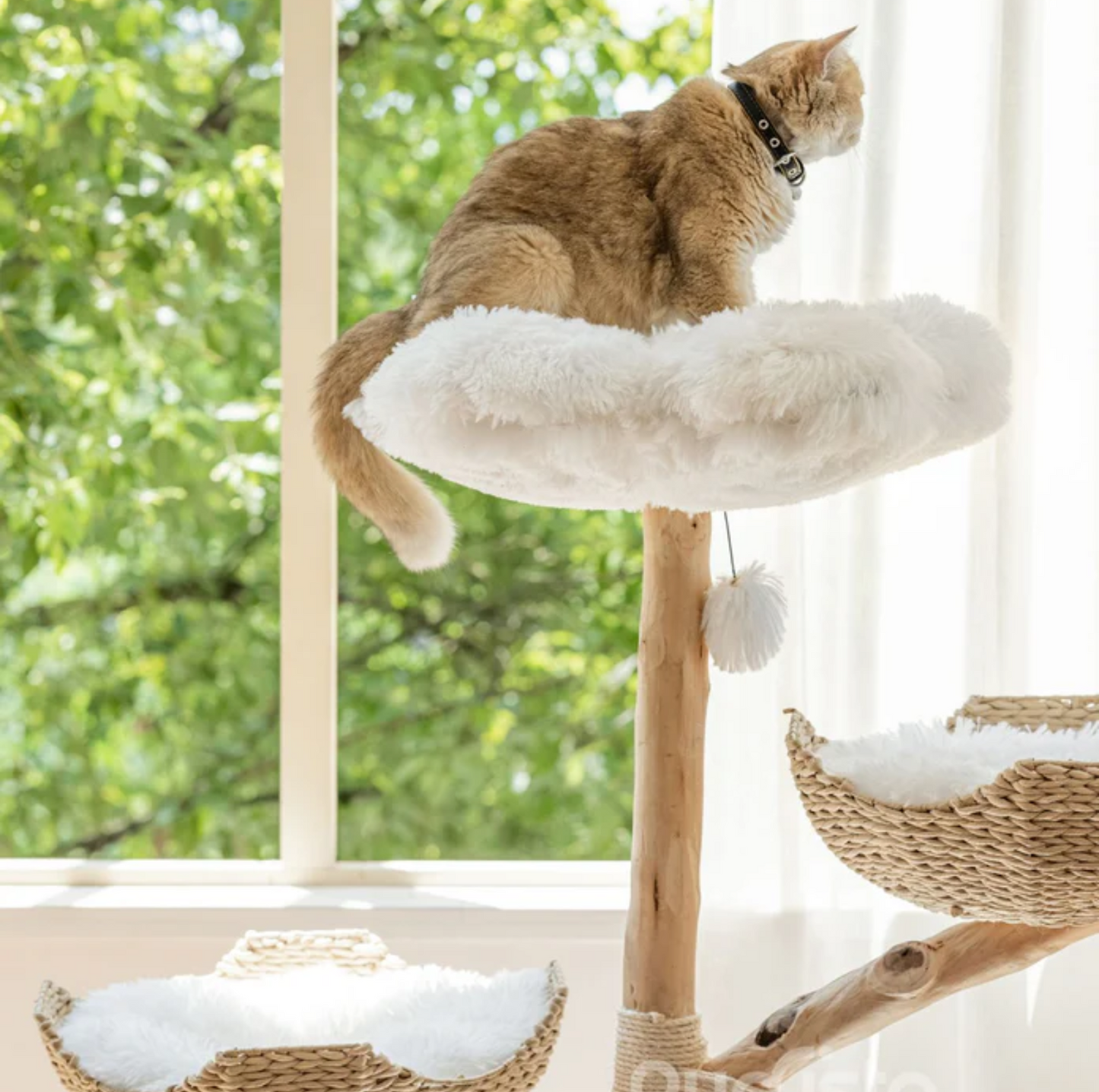 Purrista Natural Wood Basket 130cm Cat Tree (Three-Layer) - {{product.type}} - PawPawUp