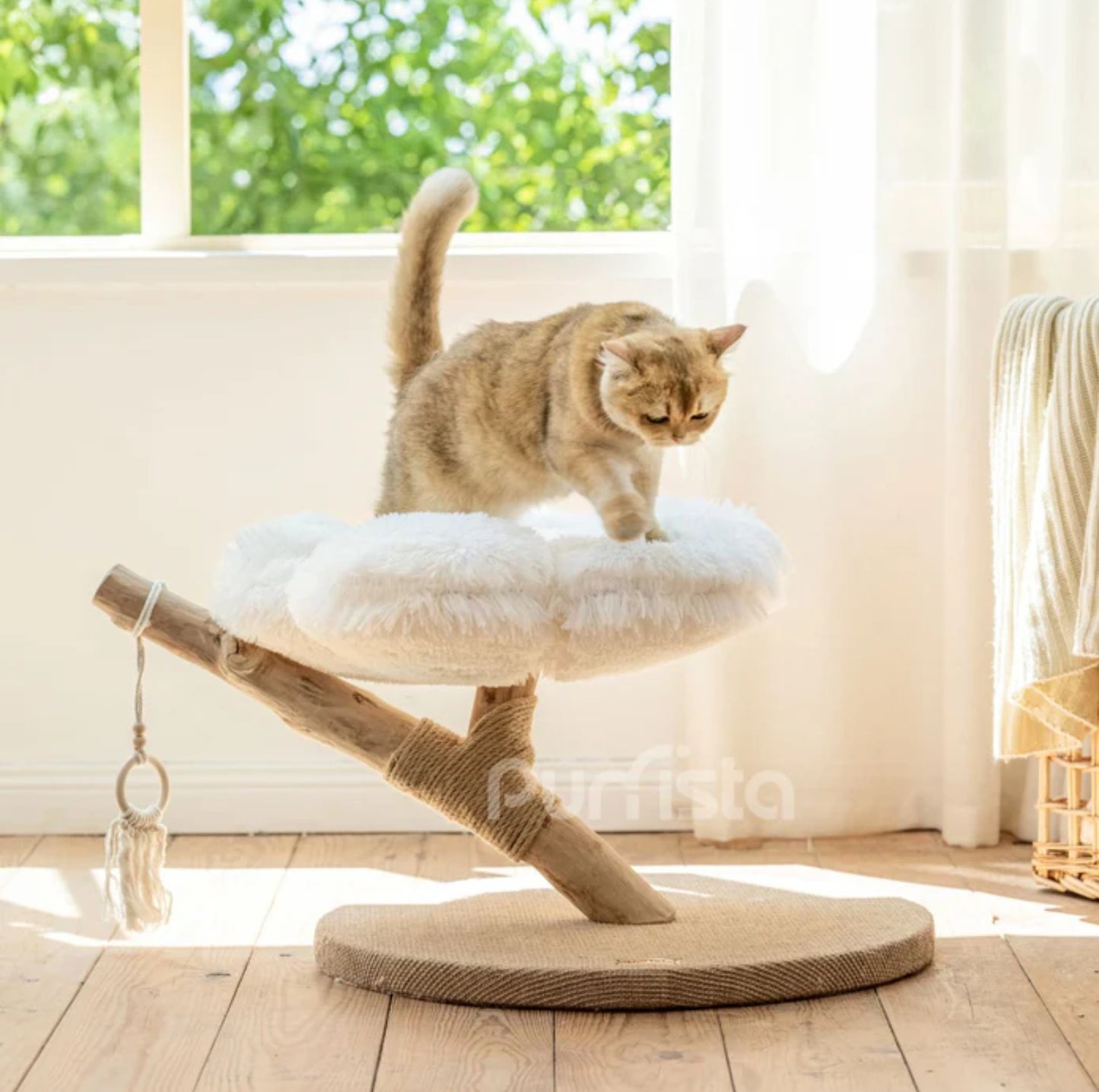 Purrista Natural Wood Cloud Cat Tree (Single-Layer) - {{product.type}} - PawPawUp