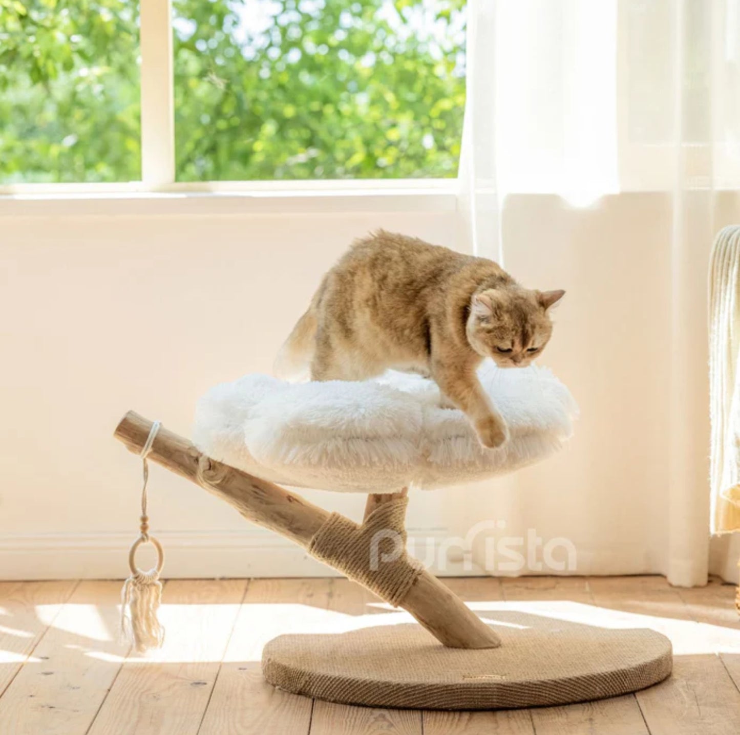 Purrista Natural Wood Cloud Cat Tree (Single-Layer) - {{product.type}} - PawPawUp