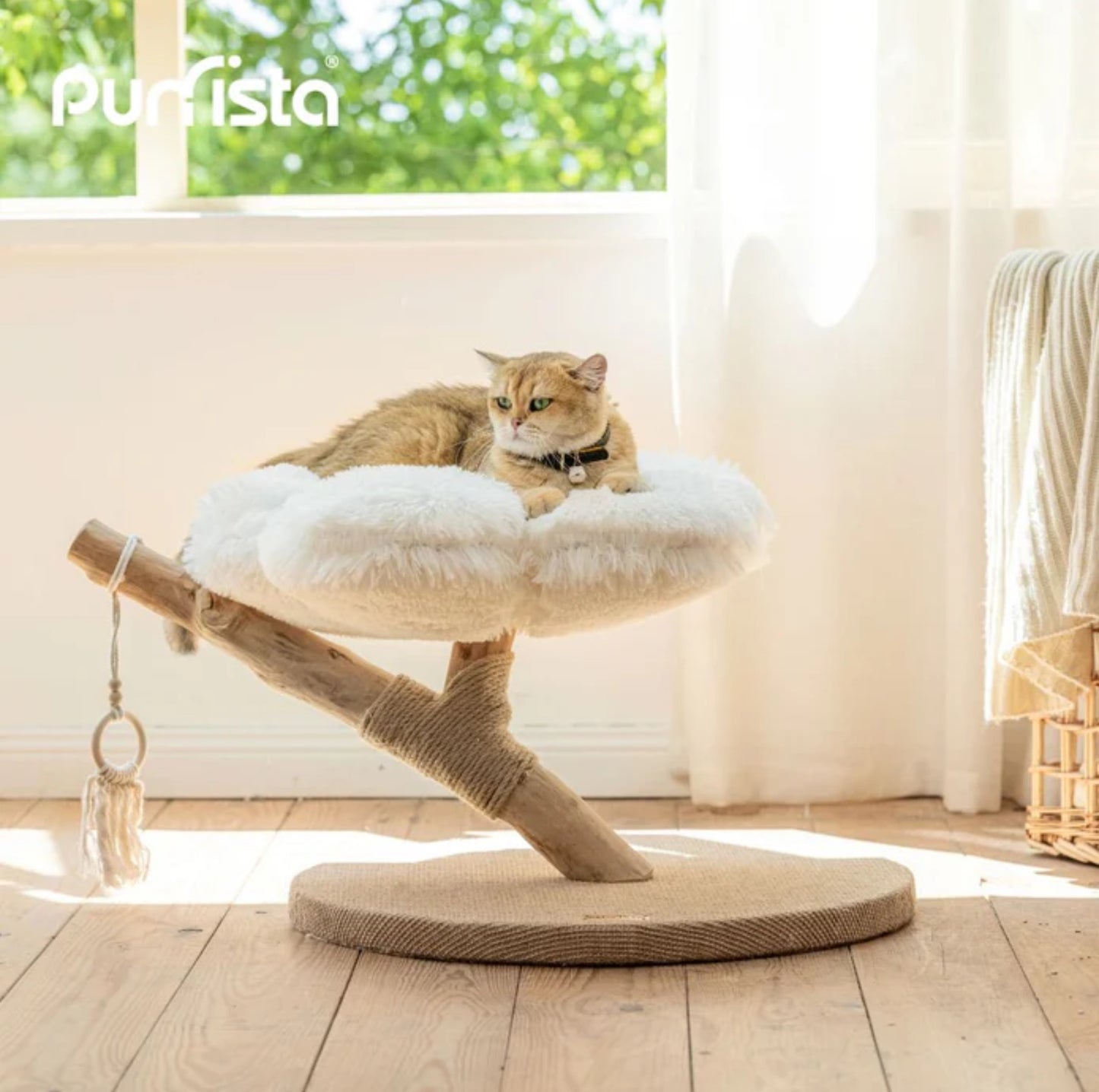 Purrista Natural Wood Cloud Cat Tree (Single-Layer) - {{product.type}} - PawPawUp